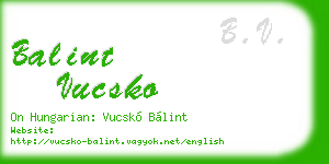 balint vucsko business card